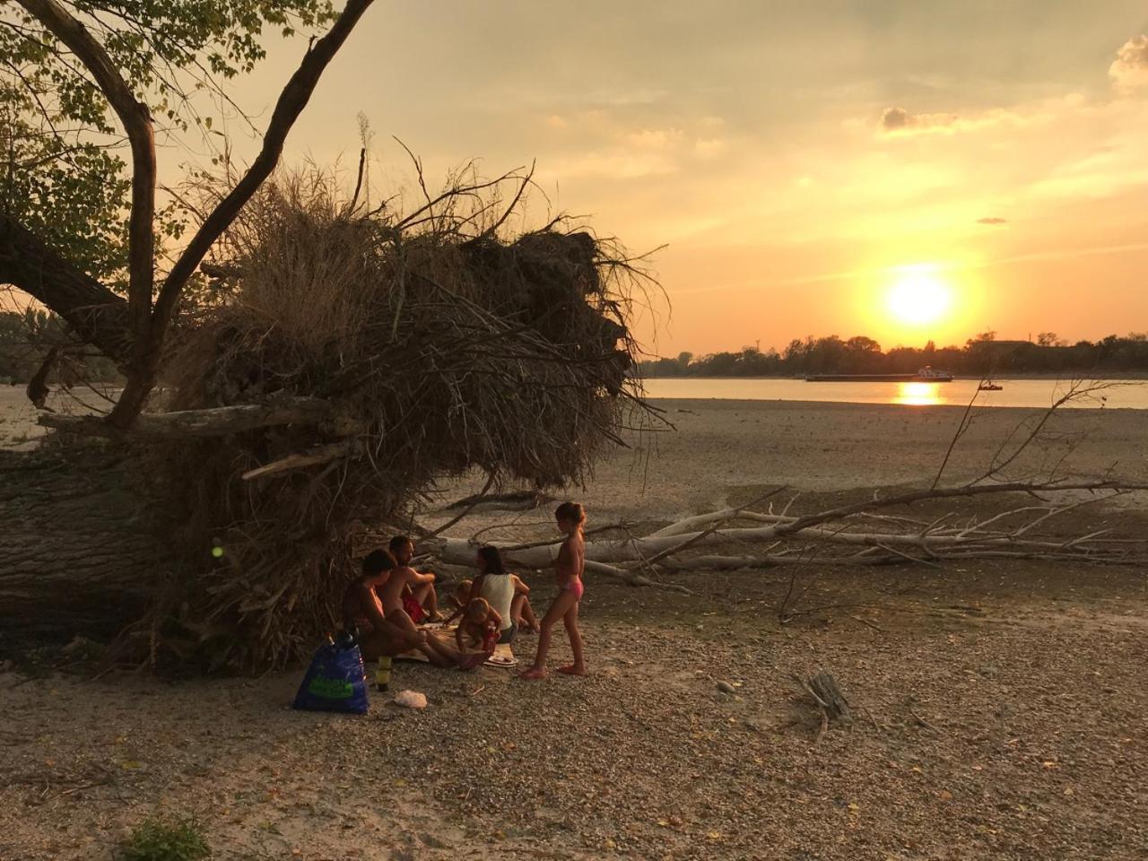 Tobo House Along The River Danube Radvaň nad Dunajom エクステリア 写真